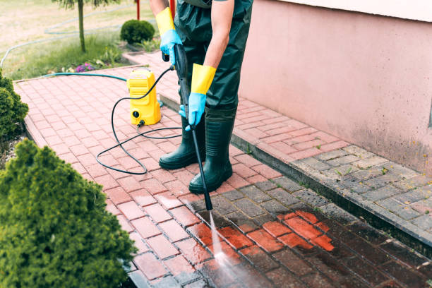 Best Animal Enclosure Cleaning  in Meiners Oaks, CA